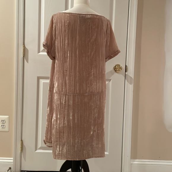 Anthropologie FLOREAT Velvet Crinkle Tunic Shift Dress Mini Pockets Pearl Small - Picture 2 of 3